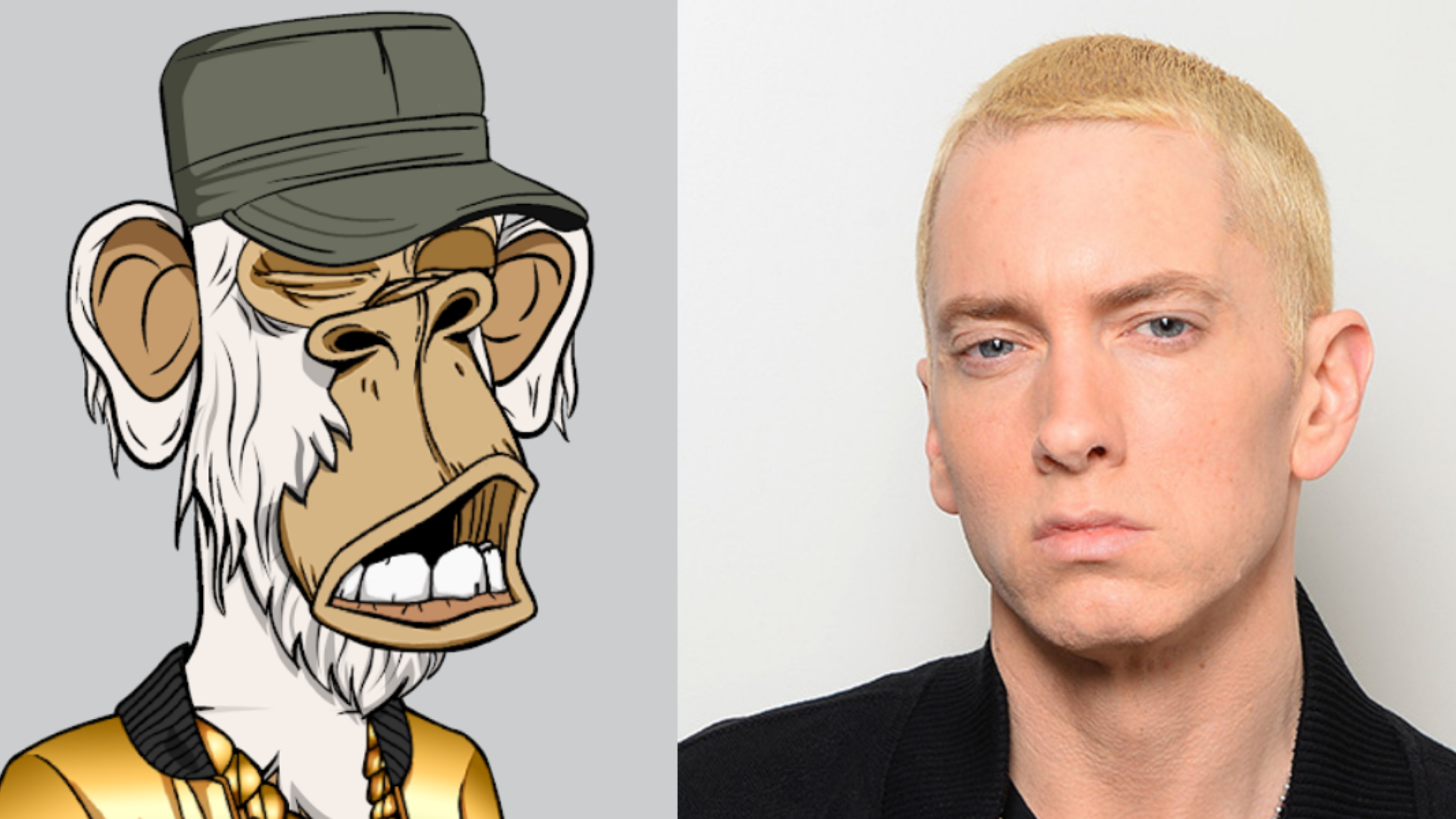 Eminem Buys Bored Ape Yacht Club NFT for $452K – Cryptoflies: Crypto